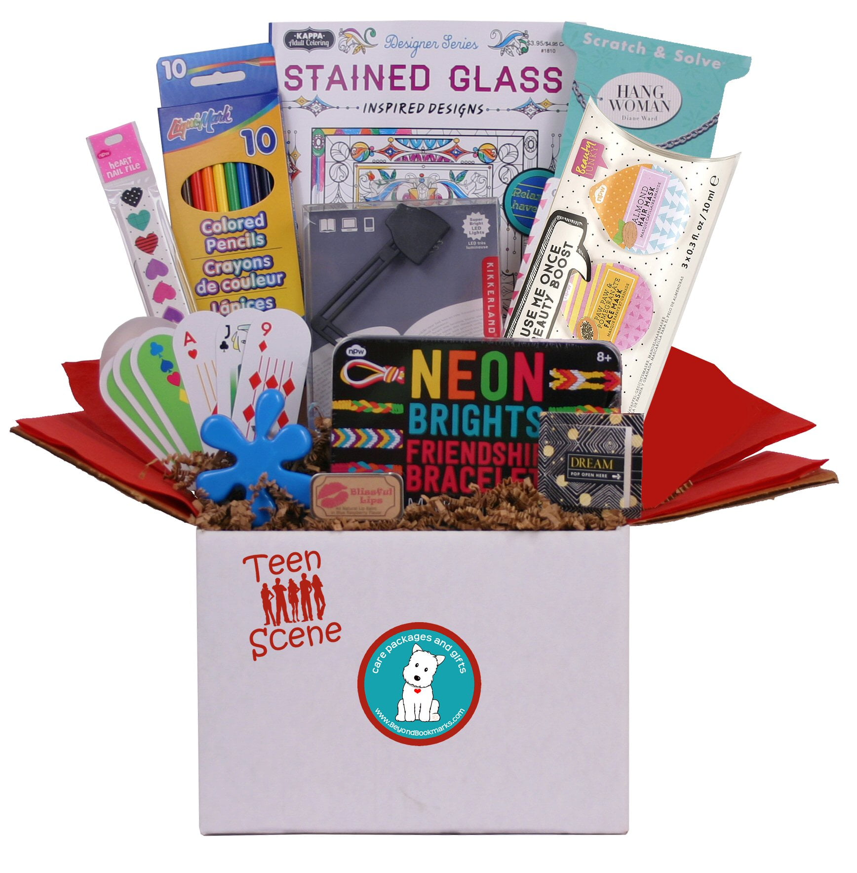 Teen Scene for Girls Birthday Gift or Summer Camp Care
