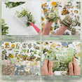 thumbnail image 2 of Flower Sticker, Scrapbooking Supplies for Adult Junk Journal 50 Sheets, Transparent Stickers and Material Paper Green,1 * Flower Sticker set,Green, 2 of 6