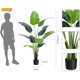 thumbnail image 3 of 5ft (60 - pulgada) plastic artificial bird of paradise plant: fake palm tree indoor/outdoor moderno decor, faux plants home/oficina, ideal housewarming gift, 2 - pack con 10 trunks y faux leaves, 3 of 7