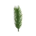 thumbnail image 1 of Tainrunse 50 piezas de agujas realistas sin riego, hojas artificiales, arreglos florales para bricolaje, ramas para bodas y fiestas, 1 of 8