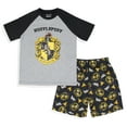 thumbnail image 2 of Harry Potter Boys' Hogwarts Houses 2 Piece Pajama Set Raglan Shirt Shorts - Gryffindor Slytherin Hufflepuff Ravenclaw, 2 of 7