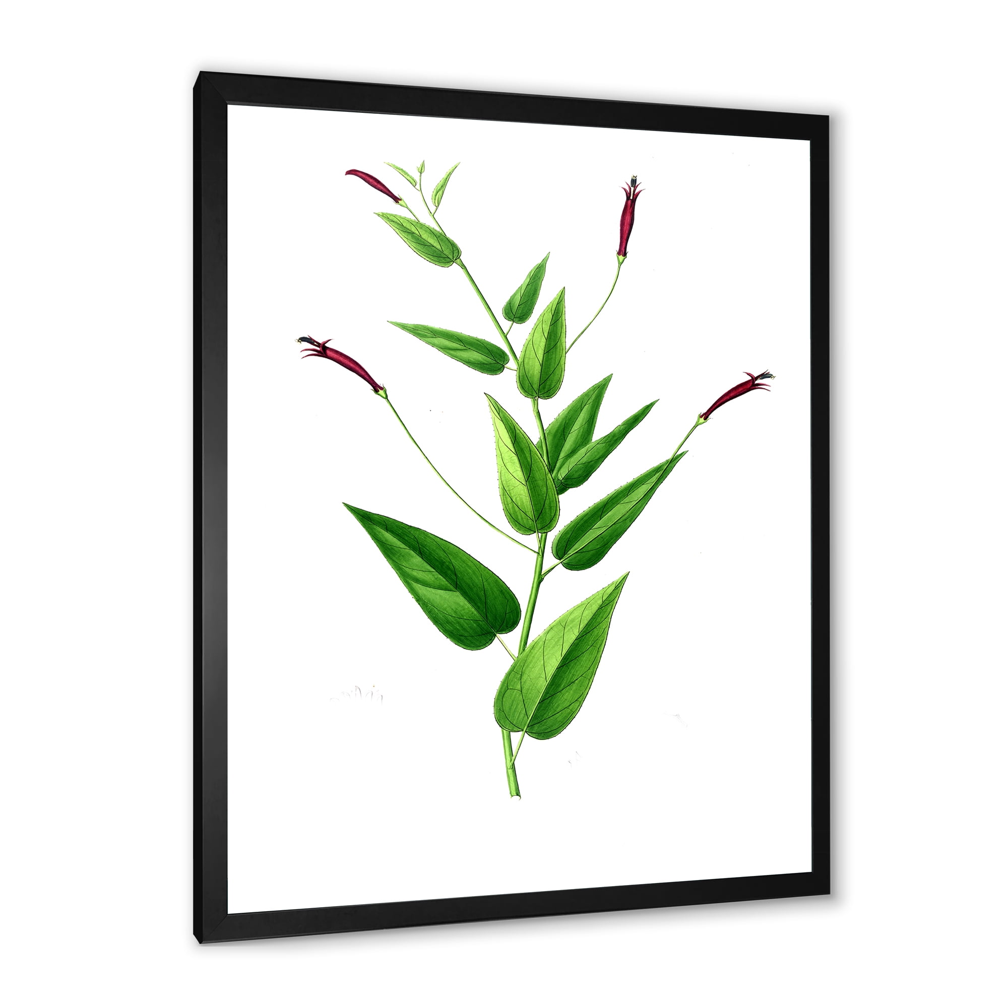Designart 'Ancient London Plants VII' Traditional Framed Art Print