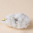 thumbnail image 2 of Cat Toy Sea Lion Cute Creative Catnip Toy Cat Chewing Toy Pet Biting Toy, 2 of 10