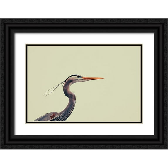 Viola, Vincenzo 14x11 Black Ornate Wood Framed with Double Matting Museum Art Print Titled - Heron