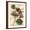 Brown Frame, variant on Art.com Petite Dragonflies III Art Print by Vision Studio, 12" x 16"