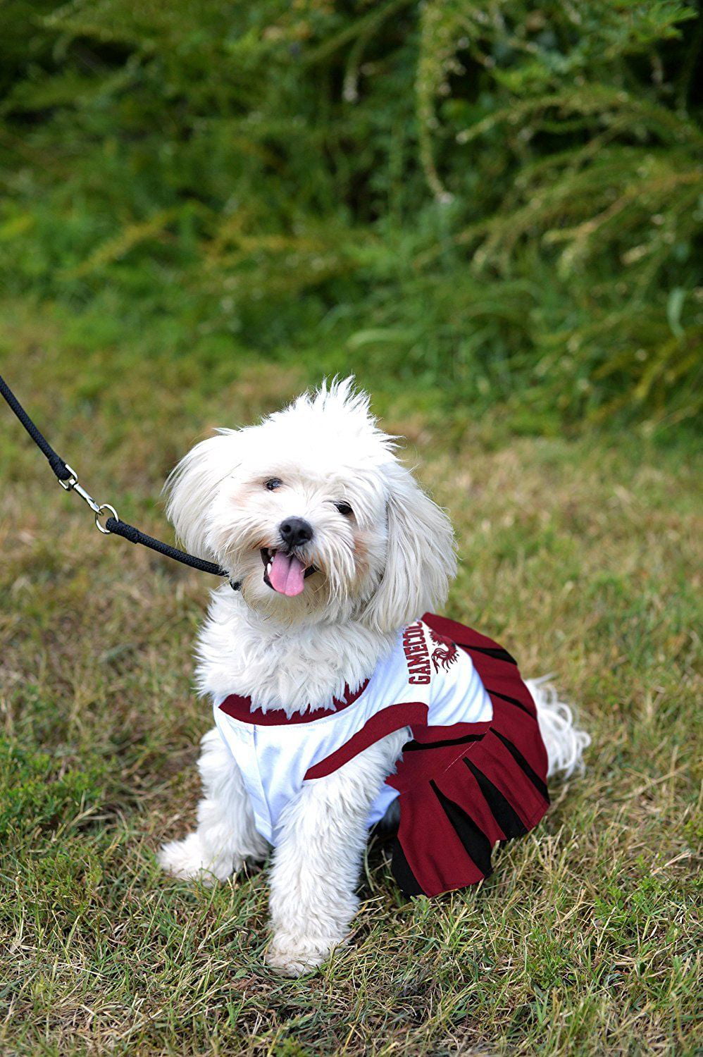 North Carolina Tarheels NCAA Cheerleader Dog Pet Dress Outfit Sizes XS-M 