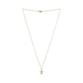 thumbnail image 2 of Collar Tortuga ANVAR Acero Inoxidable, 2 of 3