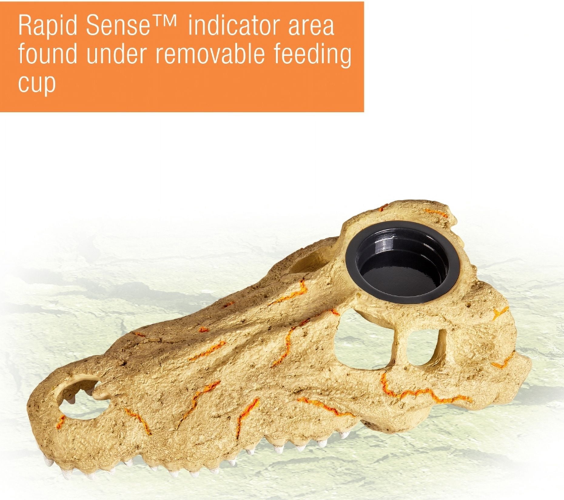 Zilla Rapid Sense Decor Crocodile Skull [Reptile Thermometers, New Reptile Supplies, Zilla, Reptile Supplies] Large - 1 count
