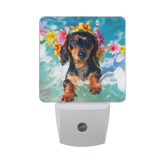Cute Dachshund Dog Surfing on Wave Night Light 2 Pack LED Nightlight Plug into Wall Dusk to Dawn Sensor Soft White