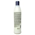 thumbnail image 2 of Rusk Sensories Calm Guarna + Ginger Nourihsing Conditioner 13.5 Ounce, 2 of 2