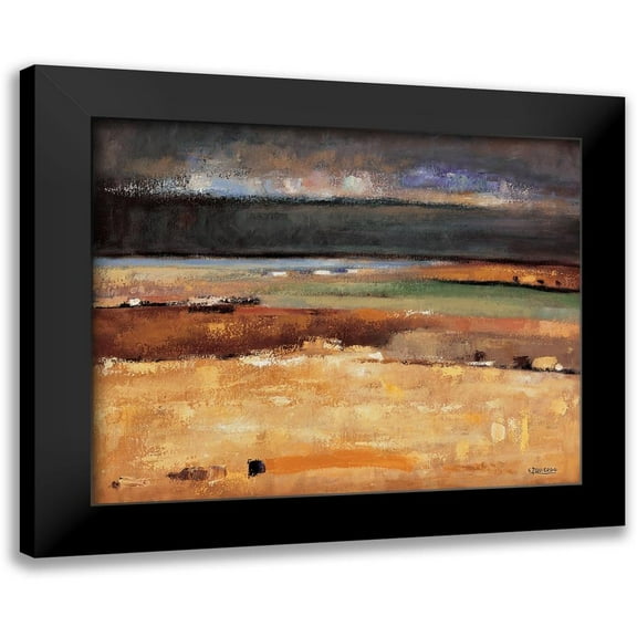 Izquierdo, Santiago 14x12 Black Modern Framed Museum Art Print Titled - Stormy Day