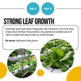 thumbnail image 4 of Jack’s Nutrients 15-0-0 Cal-Trate Water-Soluble Fertilizer, 25lbs - A Boost of Calcium and Micronutrients for Strong Leaf Growth, 4 of 6