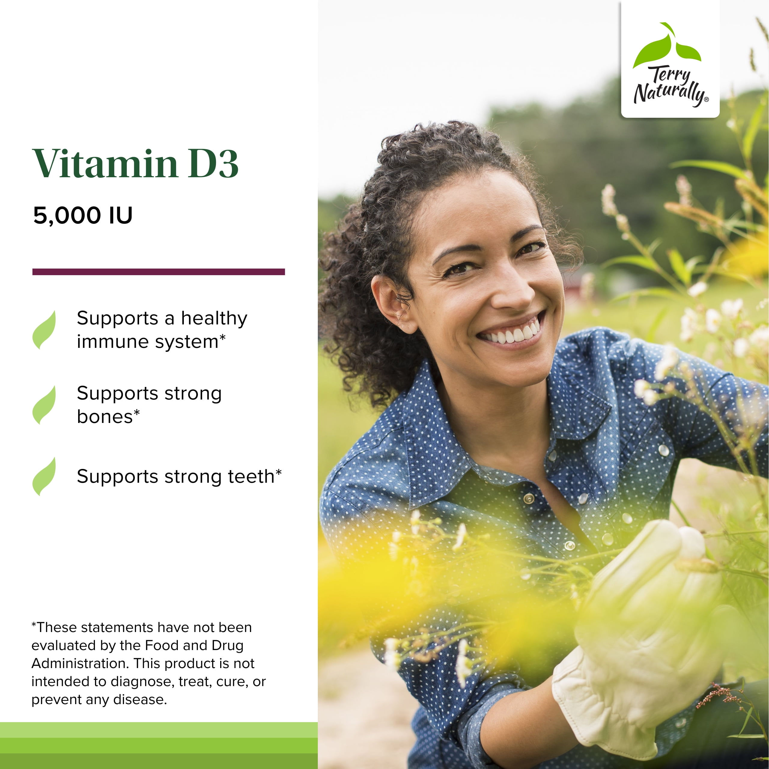 Terry Naturally Vitamin D3 - 90 Chewable Tablets (Pack of 2)