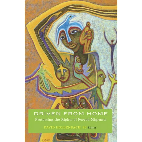 Driven from Home: Protecting the Rights of Forced Migrants, (Paperback)