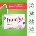 thumbnail image 5 of Stevita Hum, Cinnamon - Sugar-Free Gum - 12 Pieces, Pack of 12 - Supports Oral Health -, Non-GMO, Vegetarian, Keto, Gluten Free - 72 Total Servings, 5 of 5