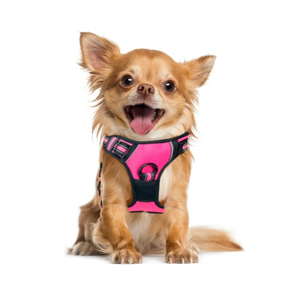 Pechera arnés E-Pets Color Rosa para perro Talla Extra Chica Ajustable Antitirones