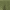 Dark Green, variant on Better Homes & Gardens Tan Embroidered Velvet Quilt, King