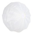 thumbnail image 1 of Lantern Softbox, Lantern Softbox Soft Light Modifier Ball Shape  for Live Broadcasting, 1 of 7