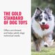 thumbnail image 4 of Dog Toy KONG Classic Fetch & Chew Stuffable para perros pequeños, 4 of 9