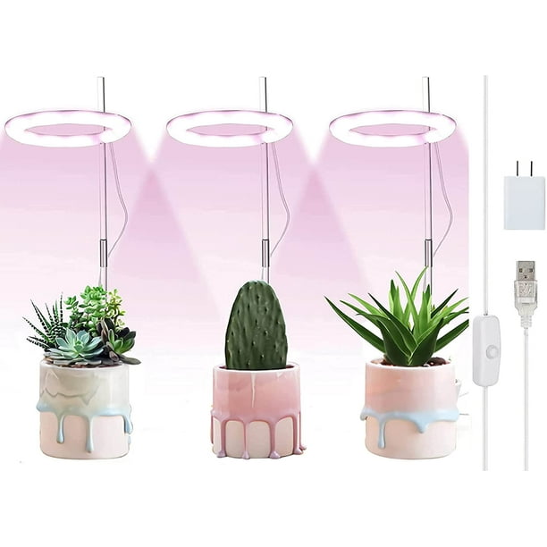 Lampes de culture pour plantes d'intérieur, lumière LED Halo pour petites  plantes, lampe de culture blanche à lumière du soleil réglable en hauteur