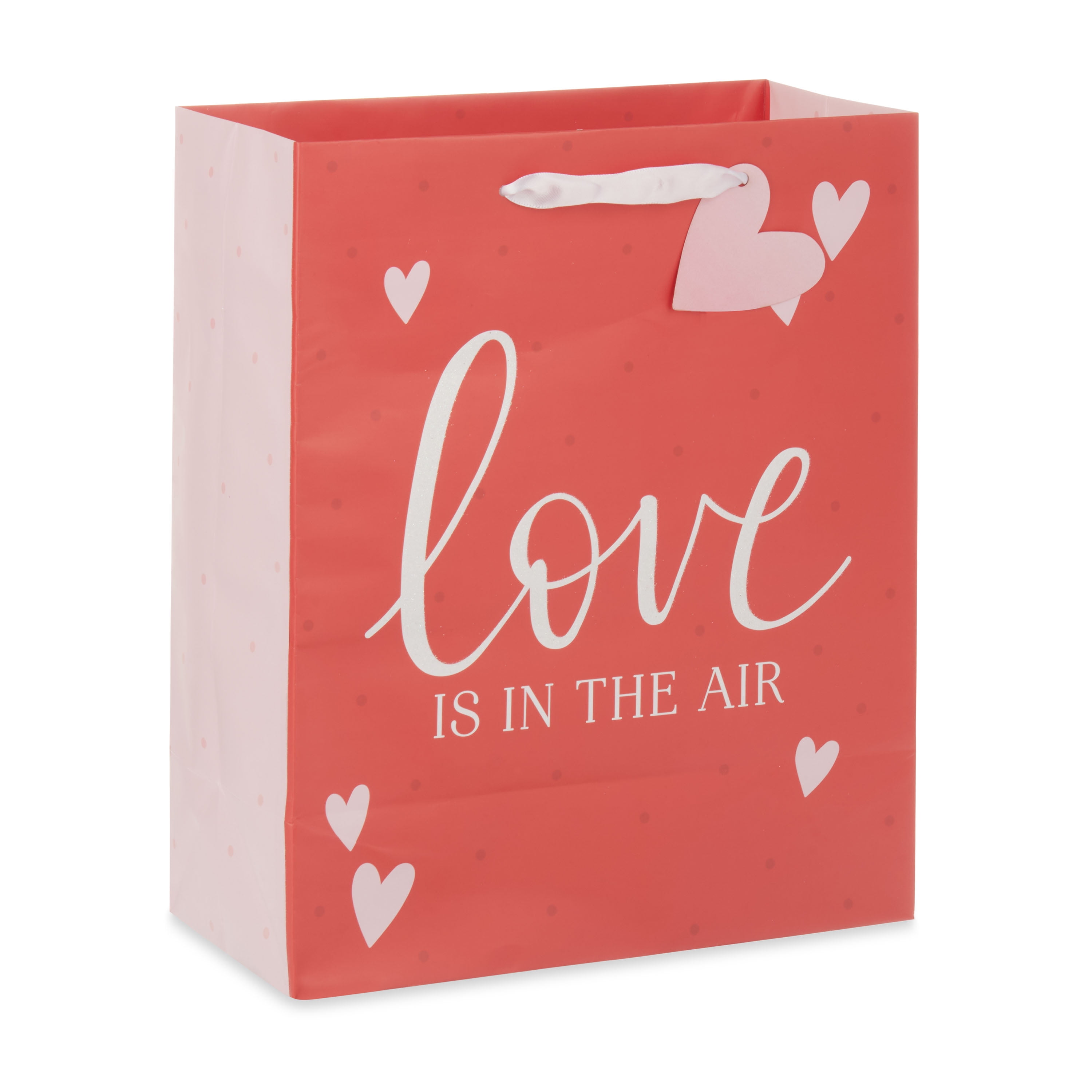 WAY TO CELEBRATE! Way To Celebrate Valentine's Day Love Is in the Air Large Gift Bag, Multi-Color, Paper
