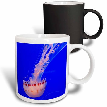 3drose, Monterey Bay Aquarium - Jellyfish, 11oz Magic Transforming Mug