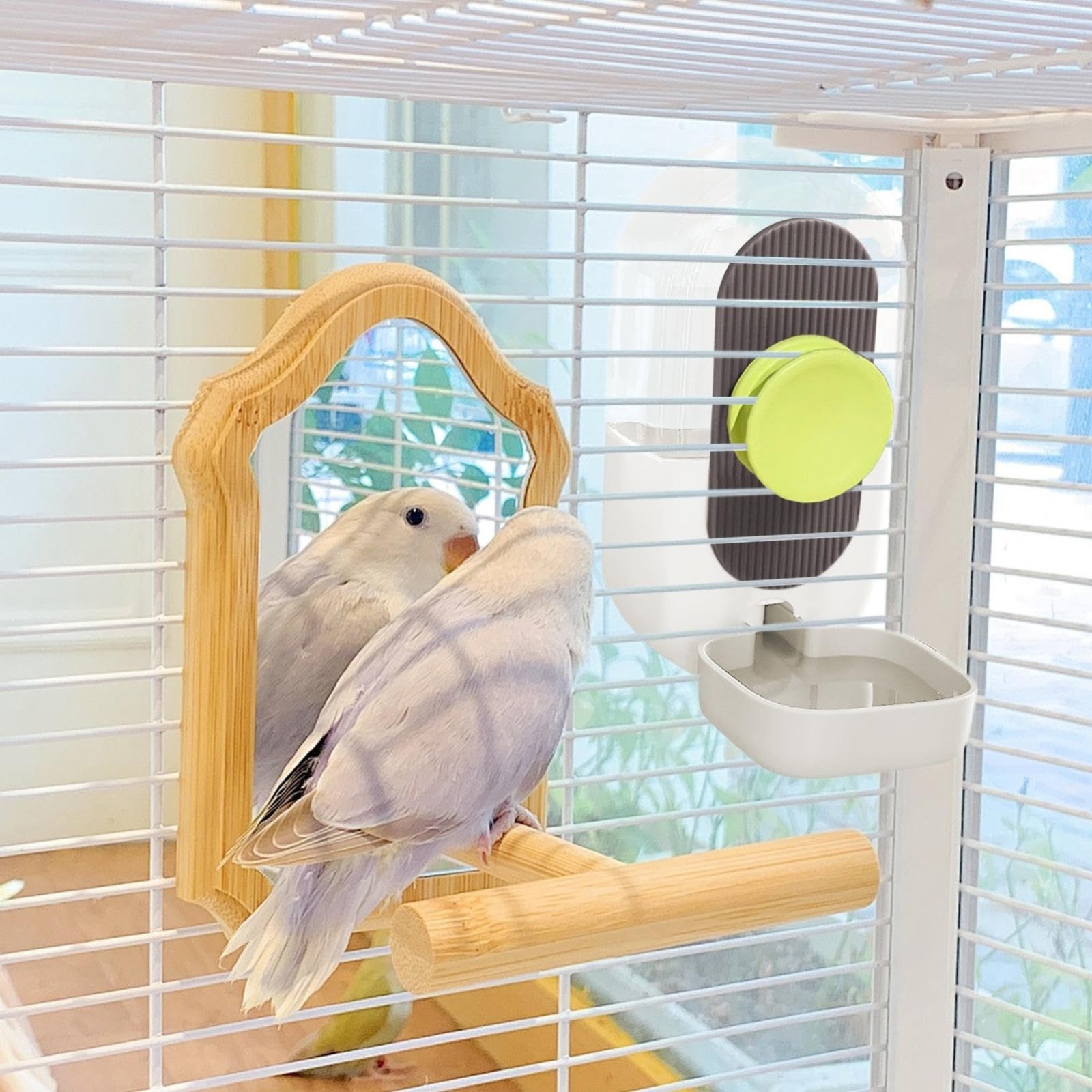 LYINGF Automatic Bird Water Feeder for Cage, Parrot Water Dispenser Cage Accessories for Lovebirds and Budgies, Easy to Install and Clean for Consistent Pet Bird Hydration