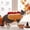 Yellow M, variant on LACKUST Hot Dog Dog Costume, Funny Halloween Pet Costume for Dogs & Cats, Adjustable XL Christmas Cosplay Outfit
