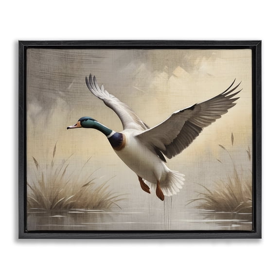 Stupell Industries Coastal Gliding Mallard over Wetlands Black Floating Frame Canvas Art, 21 x 17, by Susan Arnot