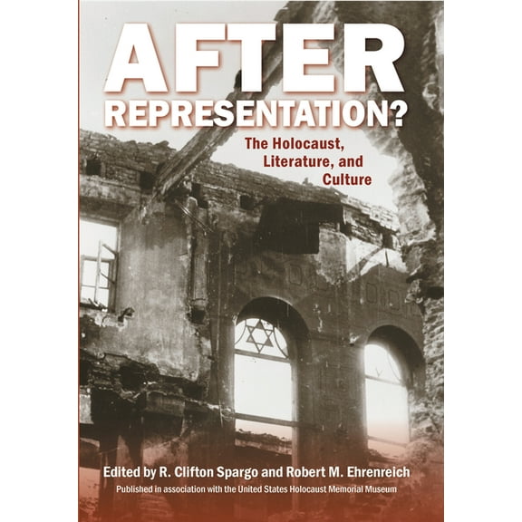 After Representation? : The Holocaust, Literature, and Culture (Hardcover)