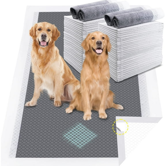 24"*36"Puppy Pee Pads for Dogs Extra Large, 20 Count, Giant 4XL Charcoal Pee Pads, Premium Odor-Control Absorbs Up to 2000ml, 6-Layer, Leak-Proof & Quick-Dry Dog Training Pads
