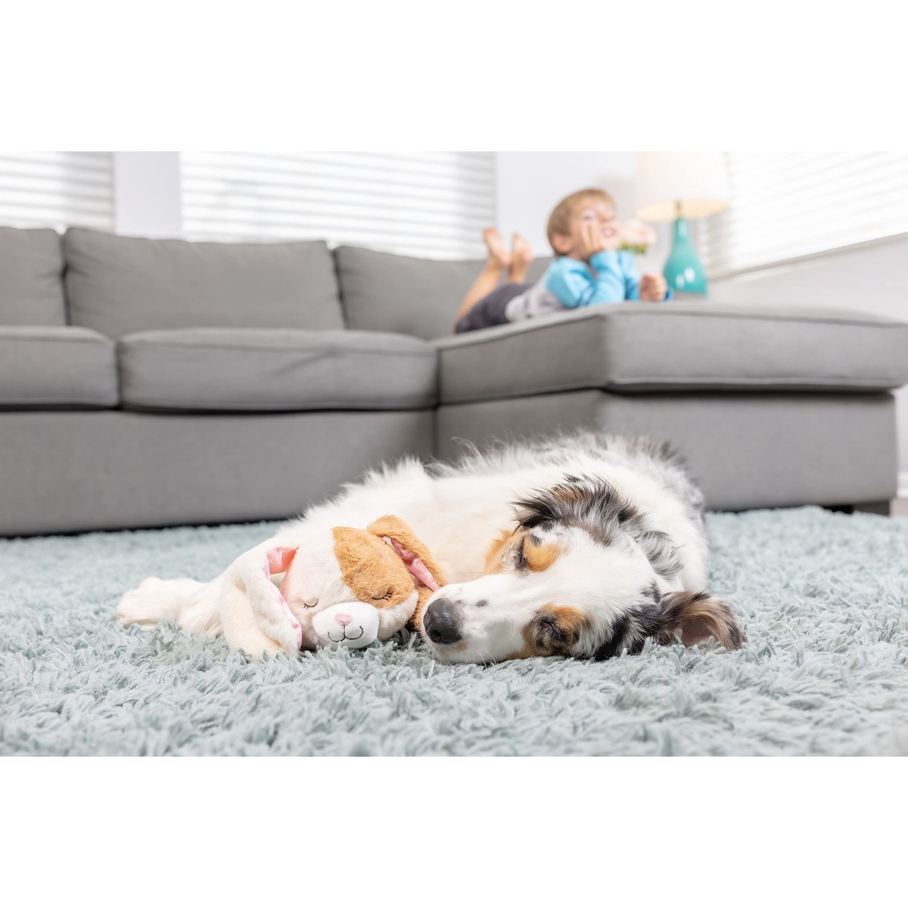 Downtown Pet Supply Hearbeat Comfort Dog Toys, Rabbit Plush Dog Toy
