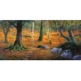 thumbnail image 2 of Galasso, Adriano 14x9 Black Ornate Wood Framed with Double Matting Museum Art Print Titled - Sottobosco, 2 of 4