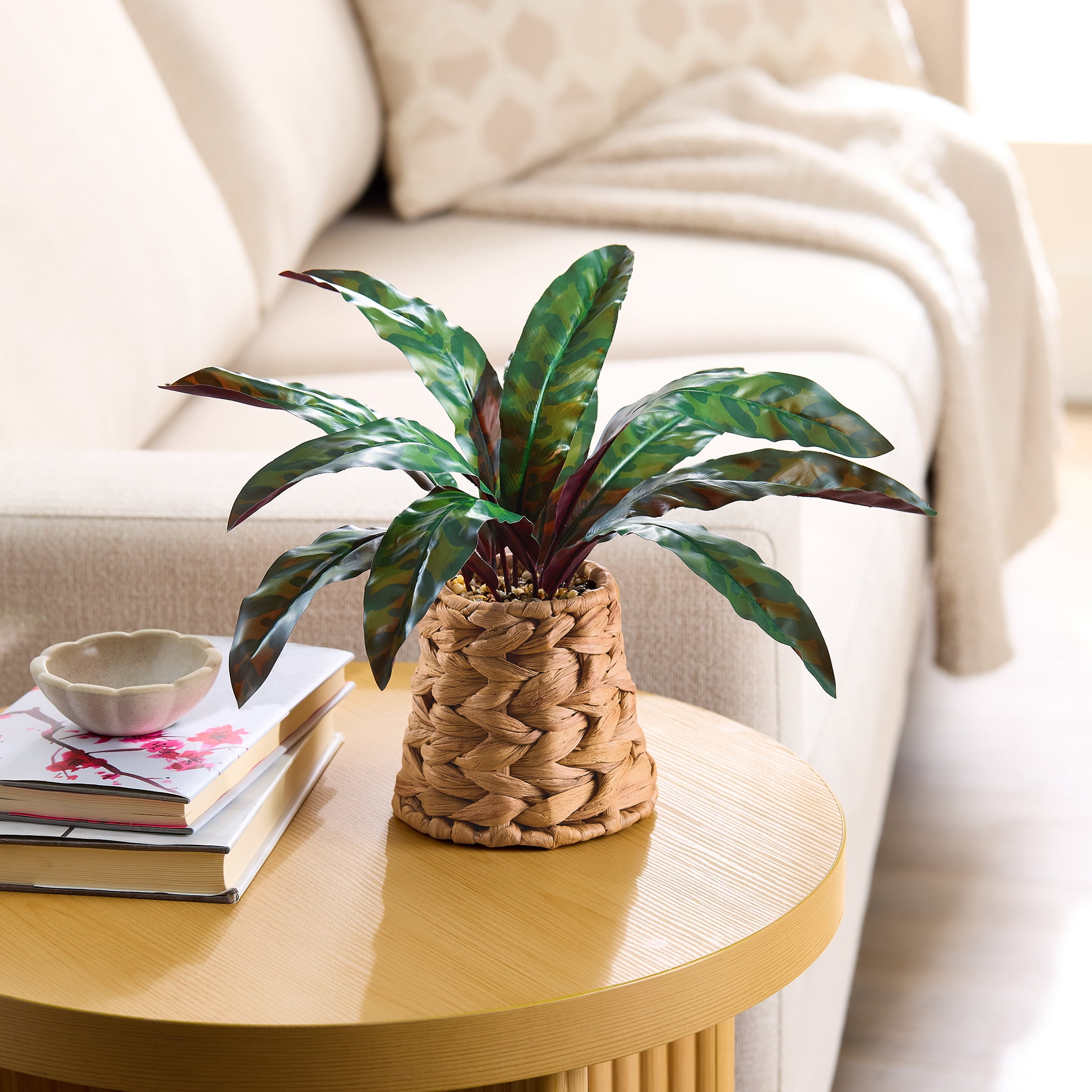 Better Homes & Gardens Artificial Rattlesnake Plant in Rattan Vase, 13"