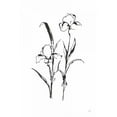 thumbnail image 2 of Paschke, Chris 13x18 White Modern Wood Framed Museum Art Print Titled - Line Iris I, 2 of 4