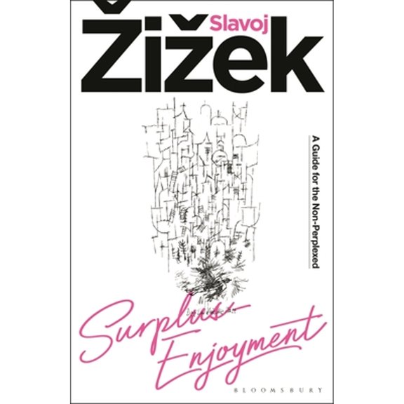 Pre-Owned Surplus-Enjoyment: A Guide for the Non-Perplexed (Hardcover) 1350226254 9781350226258