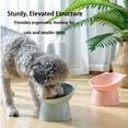 thumbnail image 6 of ACDANC 2Pcs Cat Bowls Elevated Pet Feeding Set for Comfortable Eating,Stylish Cat Feeder for Reduced Spills,Elevated Dog Bowls for Improved Digestion, 6 of 6