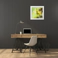 thumbnail image 3 of Haase, Andrea 15x15 White Modern Wood Framed Museum Art Print Titled - Giraffe of Africa III, 3 of 4