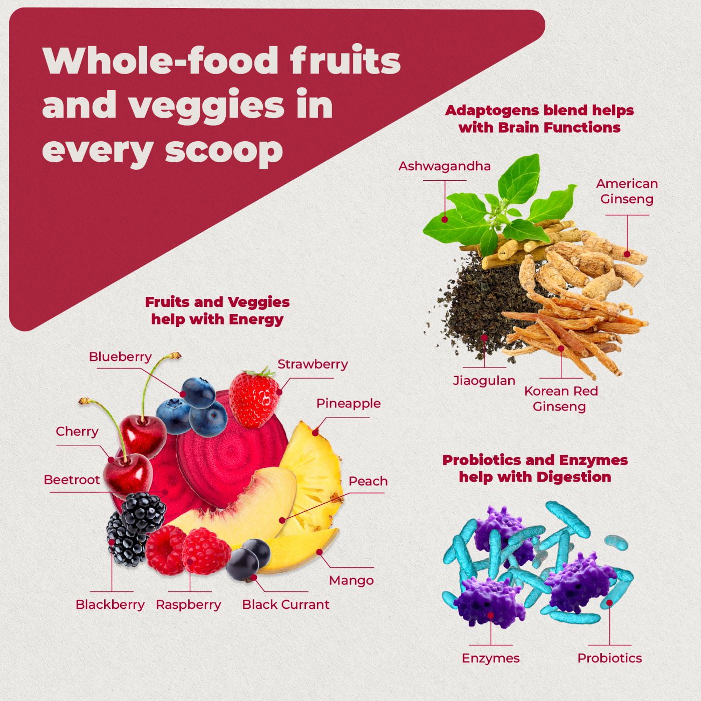 Reds Superfood Powder with Probiotics, 5 Digestive Enzymes, Beets & Ashwagandha Powder - Boost Drink for Body’s Detox & Cleanse by PureHealth Research