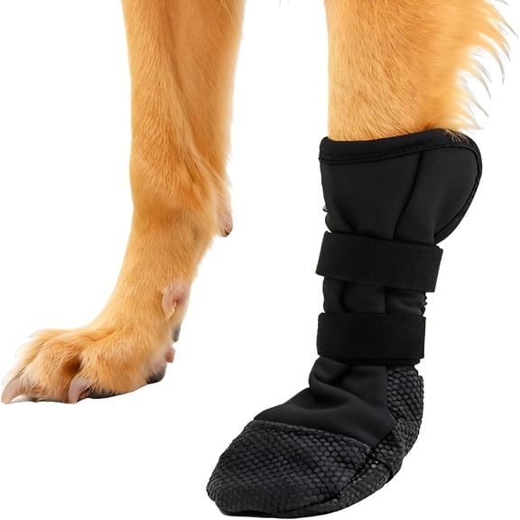 GASTROPOD Dog Boots Suitable for Injured Paws Breathable Wound Recovery Boots Dog Socks to Prevent Licking Waterproof Wound Protectors Foot Covers Bandages Shoe Sizes Large
