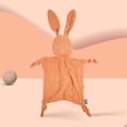 thumbnail image 5 of Cute Rabbit Baby Appease Towel - Soft Newborn Kids Cotton Comforter Blanket For Infant Boys And Girls - Sleeping Soothe Toys Gift Accessory (color: Gr, 5 of 5