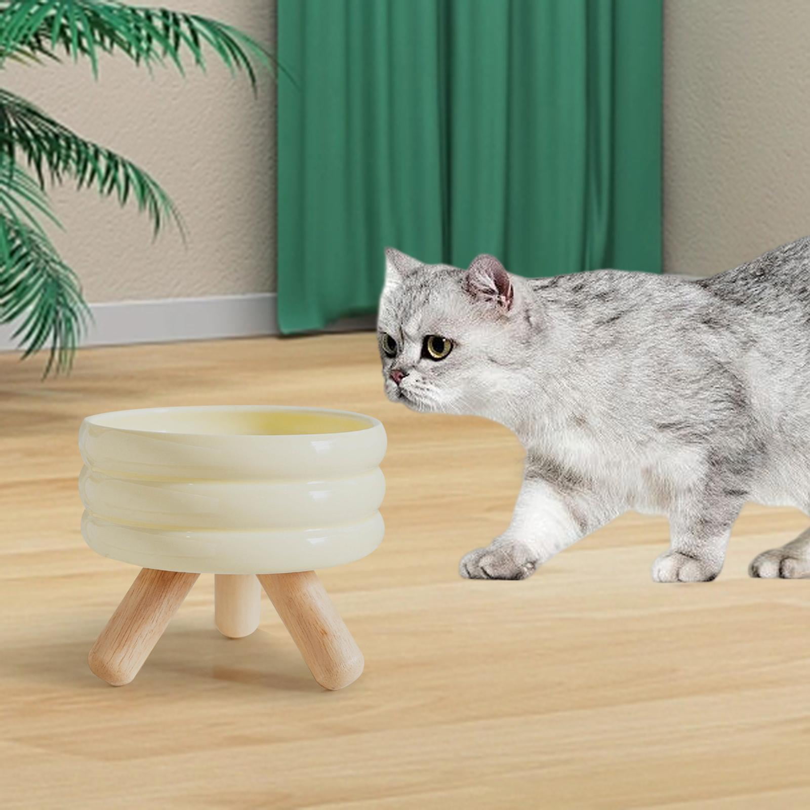 Fzaqwen Ceramic Cat Bowl Elevated Cat Food Bowl Protect Pet Spines Anti Slip Lightweight Water Bowl 600ML