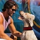 thumbnail image 5 of Arnés para perros de seguridad con rayas multicolores reflectantes 3M de 6 colores Blueberry Pet, 5 of 5