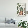 thumbnail image 3 of Trademark Fine Art 'Exotic Botanique IV' Canvas Art by Vision Studio, 3 of 4