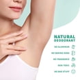thumbnail image 3 of Stick Up Natural Deodorant for Women and Men with Bentonite Clay Powder, Arrowroot, Magnesium, Zinc, 3 oz. Vegan Deodorant for 3-4 months, White Lavender - Primal Life Organics, 3 of 5