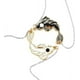thumbnail image 1 of Collar de Pareja Yin Yang 2 Collares de Pareja Lucky Fish (blanco y negro), joyas para él y ella, novio y novia, 1 of 5