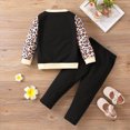 thumbnail image 3 of HCNTES Girls Clothes 18M 24M 1T 2T 3T 4T 5T 6T Girls Long Sleeved Cartoon Cat Print Crewneck Top and Elastic Waist Leopard Pants 2Pcs Pretty Clothing Sets Gift for Baby Fall Winter, 3 of 6