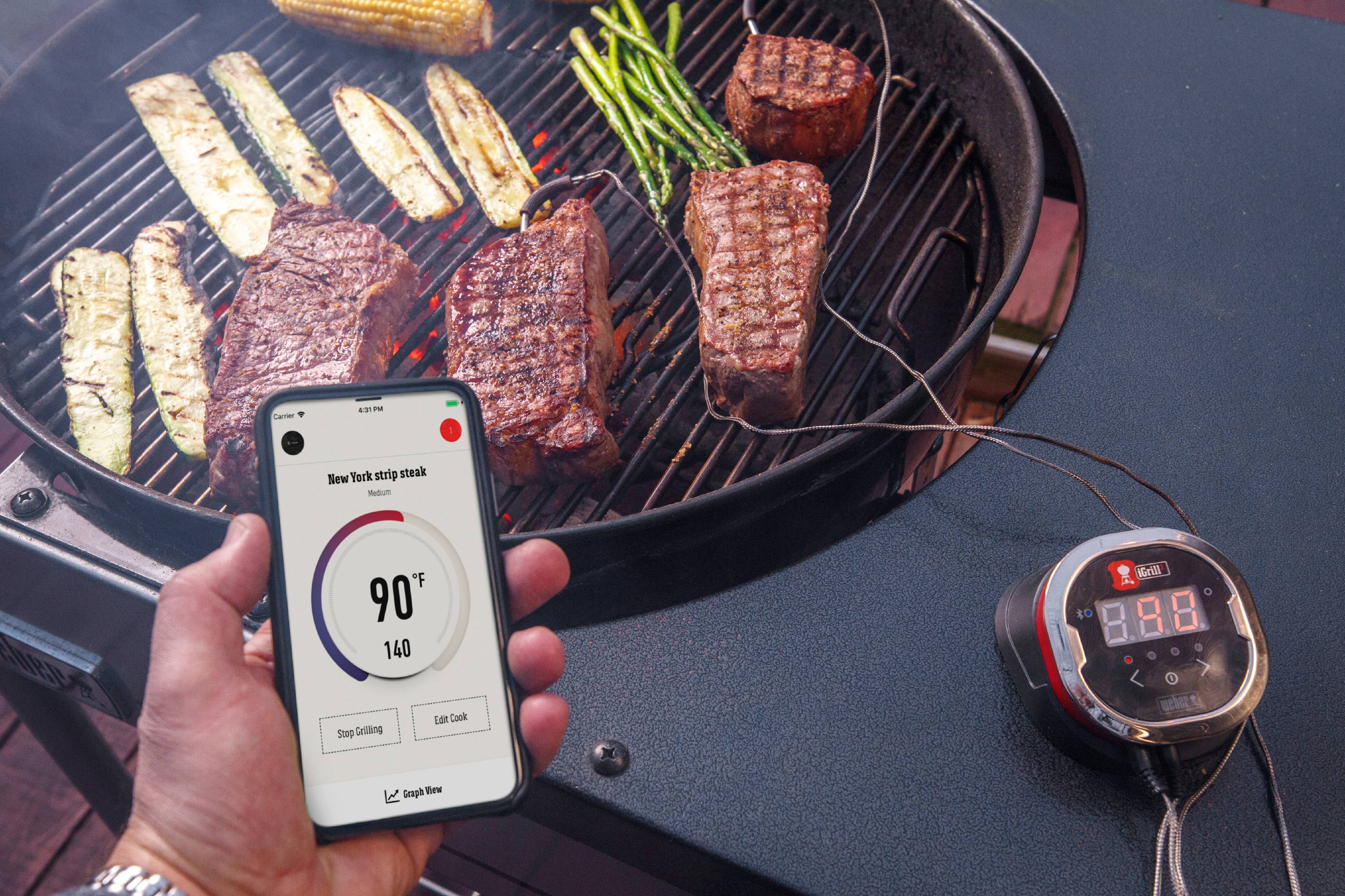 Weber iGrill 2 Instant Digital Smart Thermometer + Reviews