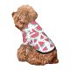 thumbnail image 5 of Balery Watermelon Sudadera con Capucha para Perros Pequeños – Ropa para Mascotas, Disfraz para Perros y Gatos, Ideal para Fiestas y Cosplay-Small, 5 of 7