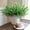 A258 Fufafayo under $5, variant on Fufafayo under $5 Artificial Norfolk Pine Branches with Pine Cone Christmas Plants Faux Greenery Stems Outdoor Faux Plants for Xmas Vase Indoor, Front Porch Home Decor, 16.14In